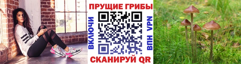 Псилоцибиновые грибы MAGIC MUSHROOMS  MEGA ссылка  Туапсе 